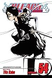 Bleach, Vol. 54
