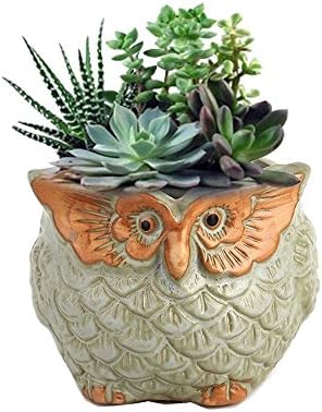 Mini Owl Succulent Planter, 3.1 Inch Cute Animal Planters Home Decoration Flower Pots--1 Free Tray in Package