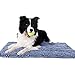 NORCHO Bath Mat Soft Chenille Rug Water Absorbent with Non-Slip Back for Bathroom 20 x 31 inch Blue