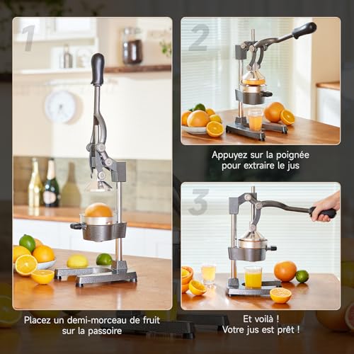 CO-Z Professional Manual Citrus Press Silent Stainless Steel Food Grade Grinder Juice Press Orange Lime Lemon Apples Fruit, Grey