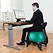 LuxFit Ball Chair, Premium Fitness Exercise Ball Chairs for Home and Office 2 Year Warranty! with 2000lbs Static Strength Ball Great Office Desk Chair, and Stability Ball Chair (Green)
