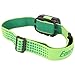 Energizer Vision HD+ LED Headlamp, Durable, Bright Headlamp for Outdoors, Camping and Emergency Light for Adults and Kids, Batteries Included, Pack of 1, Green