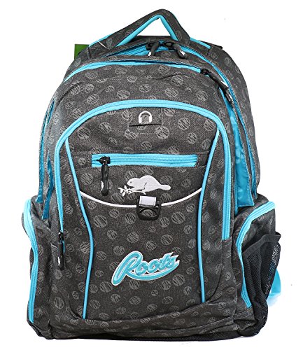 Roots 73 - Durable 17.3-inch Laptop and Tablet Backpack with Zippered Cable Pockets - Blue/Grey