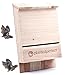 BAT House PEST Control - Bats Shelter Protects Home from Mosquitoes and Bugs - Dual Chamber Wooden Bat Boxes Built to Last - Houses Up to 360 Bats - Repels Pests from Garden (Small, Brown)