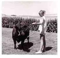 An image posted by the author.