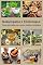 Livro Naturopatia e Fitoterapia: Uma jornada para uma saúde completa: Guia completo de remédios naturais, fitoterapia e técnicas holísticas para viver em harmonia com corpo e mente