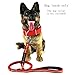 MEIKAI Tactical Bungee Dog Leash Metal Lock Reflective Nylon Pet Leads Rope with 2 Control Handle Great for Dog Training, Walking,and Hiking(Red)