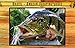 Dancing Mayfly - The Fly Fishing Trivia Game