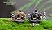 SUN-E 8pcs(Random Color) in Set Moss Fairy Miniature Fairy Garden Stone House Statue Home Decoration Outdoor Decor