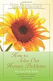 How to Solve Our Human Problems: The Four Noble Truths [Paperback] [2007] (Author) Geshe Kelsang Gyatso