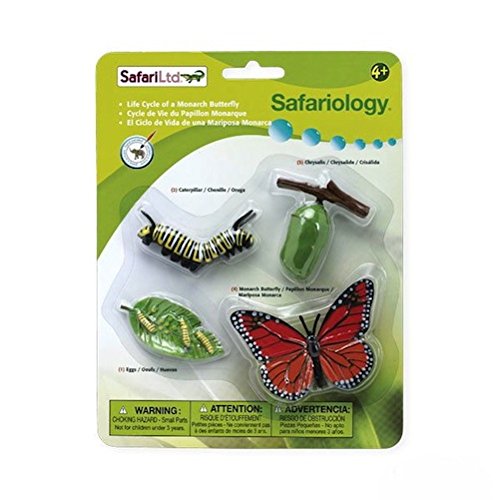 safari ltd life cycle of a monarch butterfly