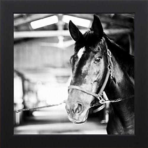 16x16 Derby Square I by Bryant, Susan: Studio Black 8806B