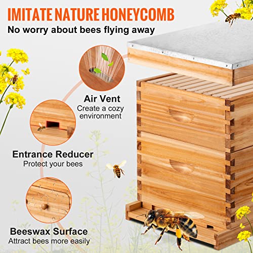 VEVOR Bee Hive, 10 Frame Complete Beehive Kit, Dipped In 100 Natural