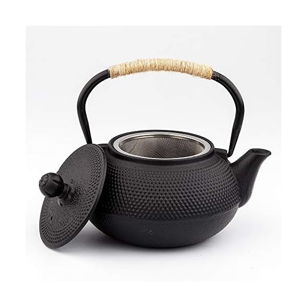 Cast Iron Tea pot, Japanese Tetsubin Tea Kettle Durable Cast Iron