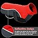 Didog Reflective Dog Winter Coat Sport Vest Jackets Snowsuit Apparel - 8 for Small Medium Large Dogs,Red,4XL Size