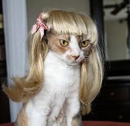 Lecent@ Pet Supplies Dog Costumes Pet Hair Pet Wig Dog Cat Wigs Pet Accessories Pet Headwear
