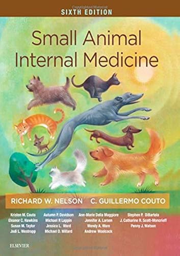 Download Small Animal Internal Medicine PDF