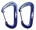 Raqpak Wiregate Carabiner Lightweight and Very Strong Aluminum Material (Blue, Small)