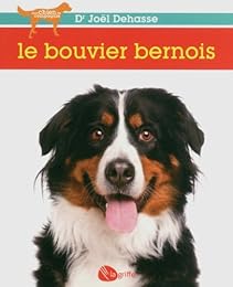 Le  bouvier bernois