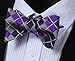 SetSense Men's Plaid Jacquard Woven Self Bow Tie Set One Size Purple/Navy Blue