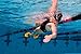 FINIS Positive Drive Fins - High-Quality Swim Fins for Men and Women - Swim Flippers to Use with All Four Swim Strokes - Swimming Fins for Swimming and Pool Accessories - Medium, Yellow