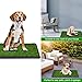 Giantex Dog Puppy Pet Potty Pad with Pull-Out Drawer, Home Training Toilet Pad Grass Surface, Portable Dog Mat Turf Patch Bathroom Indoor Outdoor (25