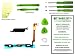 Samsung Galaxy Note 2 Black Home Button and Home Menu Touch Sensor Flex Cable PREMIUM Kit with DM Tools, Cleaning Cloth, and Instructions Included N7105 N7100 I605 R950 I317 T889 L900 – DIYMOBILITY