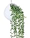 Moyishi Mini Decorative Ceramic Hanging Planter Flower Pot Water Planter Plant Vase (White1)