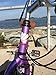 COLUMBA 26 inch 18 Speed Folding Bike (Purple)