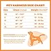 Best Pet Supplies - All Weather Mesh, Reflective, No Pull Harness for Small, Medium Dogs, Cats - Secure with Hook & Loop Fastener, Buckle, Double D-Rings - Orange Trim, XS