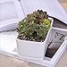 White Ceramic Rectangular Flower Pot,6.5 inch Modern Minimalist White Ceramic Succulent Planter Pot/Container with Ceramic Tray