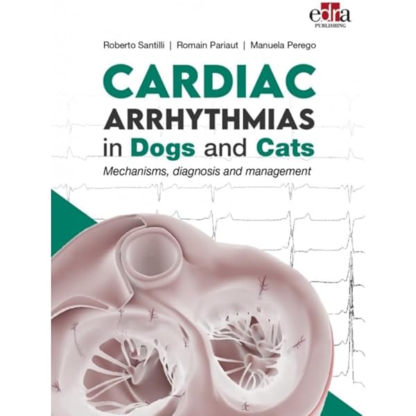 語学・辞書・学習参考書 Veterinary Image Guided Interventions Veterinary Image-Guided Interventions: 9781118378281: Medicine