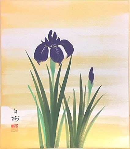 Amazon 川村白樹 あやめ 色紙絵 ノーブランド品 アートフレーム ポスター