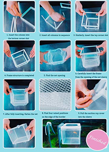 3 NGe+Aquarium+Isolation+Hatching+Incubator