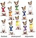 Deaf Dog White Color Coded 2 4 6 Foot Padded Dog Leash (No/Limited Hearing) Prevents Accidents by Warning Others of Your Dog in Advance (6 Foot Leash)
