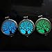 HOUSWEETY Aromatherapy Essential Oil Diffuser Necklace - Locket Pendant,5 Colorful Pads+2 Noctilucent Pads