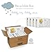 Naty by Nature Babycare Eco-Friendly Premium Disposable Diapers for Sensitive Skin, Size 2, 4 Packs of 34 (136 Count) (Chemical, Chlorine, Perfume Free)