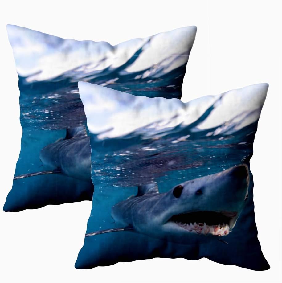 Jesmacti Square Pillow Covers,Winter Cover Pillow Cases Shark Point South Africa Atlantic Ocean Mako Isurus Big Pillow Case,Contour Pillow Case 18X18 Inches 2 Pcs