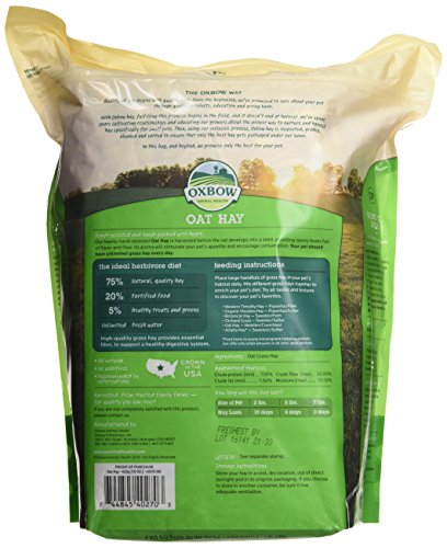 Oxbow Animal Health Oat Hay for Pets, 15-Ounce