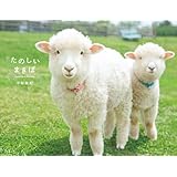 たのしいまきば