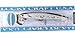 LUCKY CRAFT SW FlashMinnow 110, 765 MS Anchovy, Saltwater Fishing Lures, Jerkbait Surf Fishing Gear, Halibut and Bass Lures, Suspending Topwater Lure
