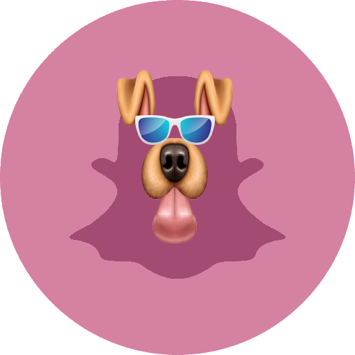 Snappy Photo Filters And Stickers