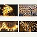Ablest Set of 40 LED Photo Clip Clothespin Fairy String Lights (Warm White) - for Photos Cards and Artwork