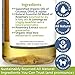 4-Legger Certified Organic Dog Shampoo - All Natural and Hypoallergenic with Aloe and Lemongrass, Soothing for Normal, Dry, Itchy or Allergy Sensitive Skin - Biodegradable - Made in USA - 16 oz