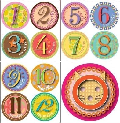 Picky Sticky Baby Photo Monthly Onesie Stickers (Girly Girl)