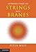 Introduction to Strings and Branes