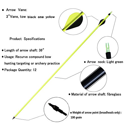 JY-Sports Targeting Arrows 30'' Inch Carbon Fiber Hunting Arrows Outdoors Archery Green Shaft with Replace Arrow Tips and Removable Nock for Compound Bow a Dozen Arrows in Box (Green)
