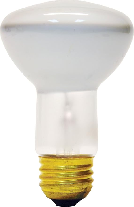 GE Lighting 18279 45Watt 310Lumen R20 Indoor Flood Light Bulb, Soft