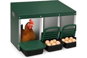 Chicken Nesting Boxes for Chickens,3 Compartment Metal Roll Away Nest Box for Chicken Coop,Chickens Laying Egg, Lid Cover to 