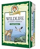 Profeessor Noggin's Card Games North American Wildlife
